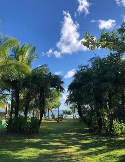 Hotel Pousada Tortuga Barra Grande  Zewnętrze zdjęcie